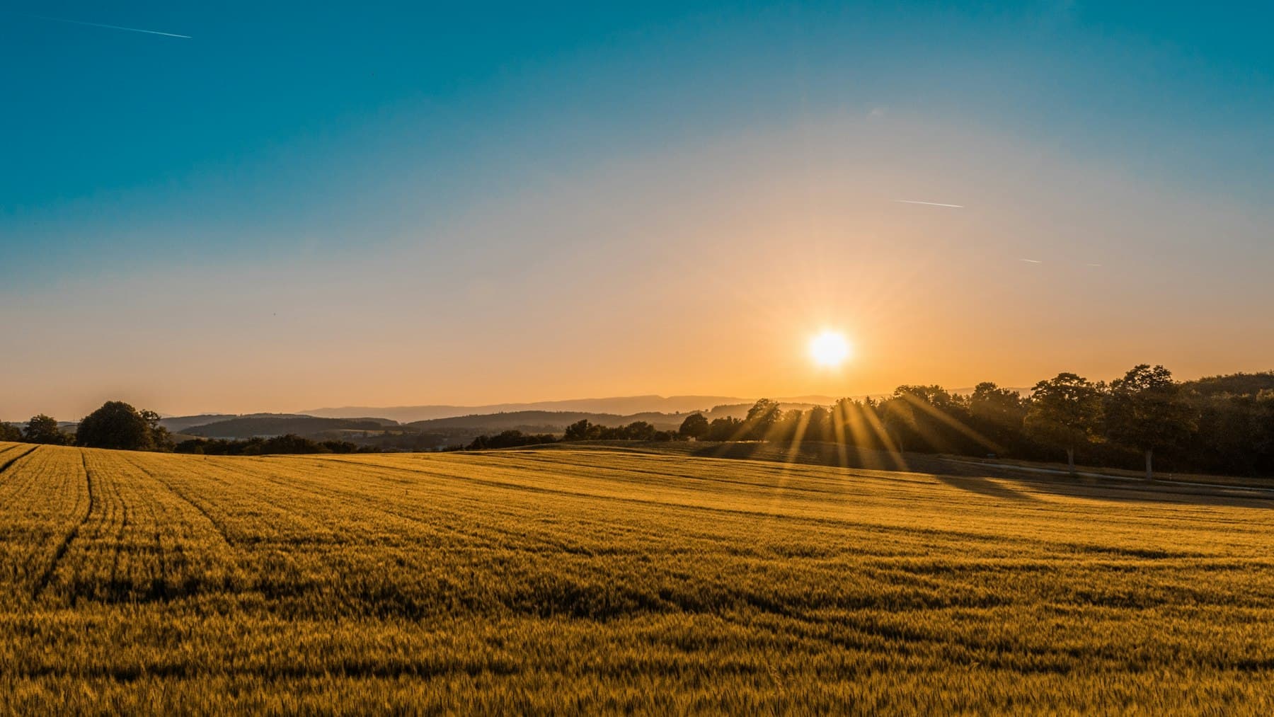 Aerial view of agricultural land prepared for plantation